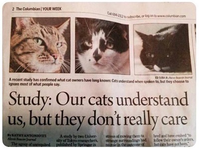 Studio: i nostri gatti ci capiscono benissimo, ma se ne fregano di quello che abbiamo da dire.